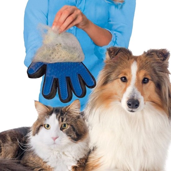 Luva Escova Mágica Tira Pelos Dos Pets Cães E Gatos - Azul Direita