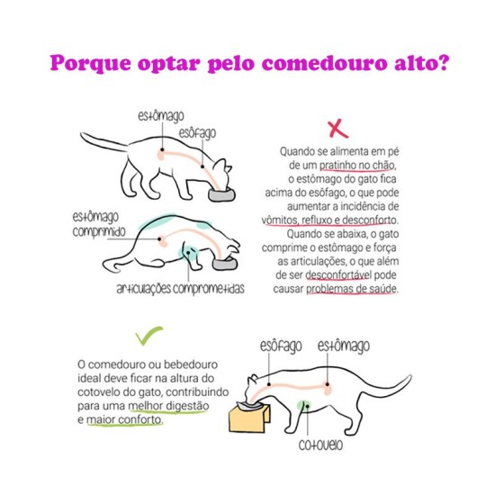 Comedouro Alto para Gatos em Inox Duplo – Amarelo