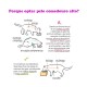 Comedouro Alto para Gatos em Inox Duplo – Roxo